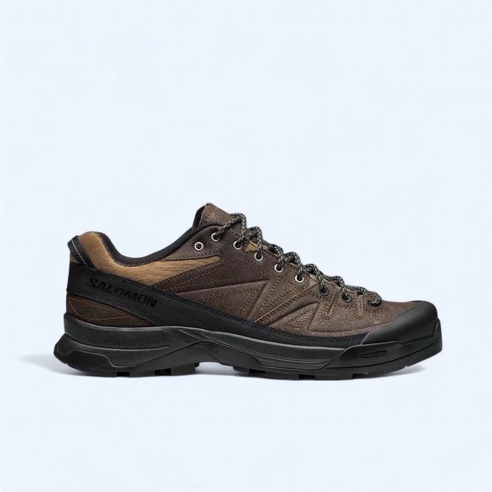Salomon X Alp Hiking Shoes